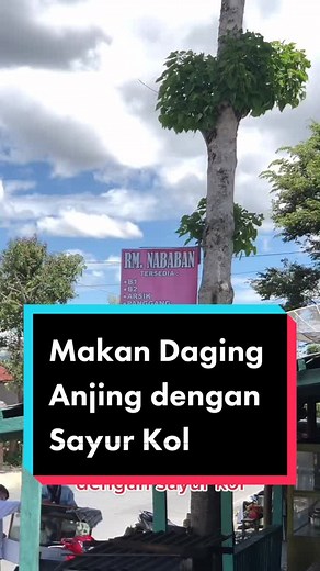 Makan Daging Anjing dengan Sayur Kol di Siborong-borong? Berani?