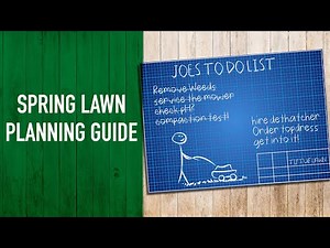 Spring Lawn Prep | Your Spring Lawn Planning Guide