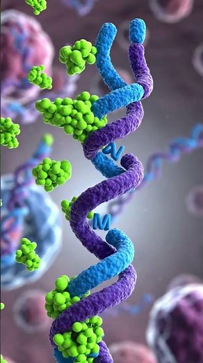 How DNA Makes Proteins ⚡ | Gene Expression