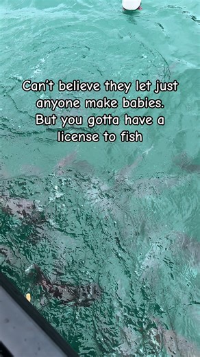 Unbelievable Fishing Scene with Cute Baby Fish
