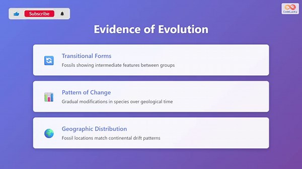 Fossil Record Explained: Ancient Life Evidence | Evolution Series