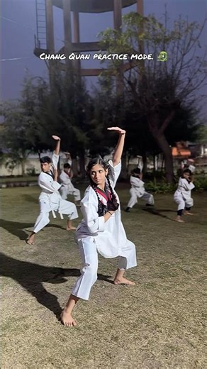 Training hard to turn movements into mastery. Chang Quan practice.🌊#martialarts #changquan