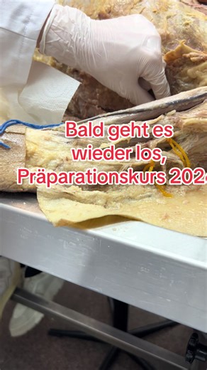 #anatomie #wissenswert #rostock