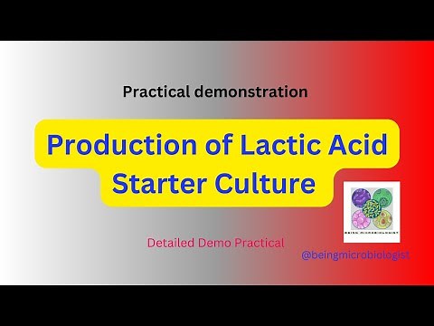 Production of Lactic Acid Starter Culture|lactic acid bacteria preparation|Fermentation|microbiology