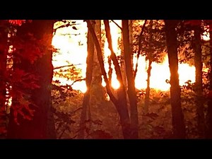 Latest wildfire updates from Sonoma Co. officials, CAL FIRE -- Watch LIVE