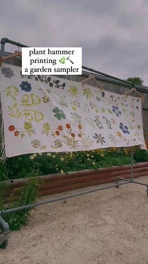 Plant hammered 🌿🔨Garden Botanical Sampler - A documentation of my garden on cloth 💚 this technique is the perfect way to record the plants around you whether you have a garden, or a snip of a flower or leaf from your favorite local plants. 📌Learn how to pre-treat fabric naturally to achieve plant prints that will withstand wash & wear in my new Tutorial in ✨A Year in Natural Dyes✨ The tutorial has lists of my favorite fabric suppliers, step by step instruction on kid-friendly pre-treatment &