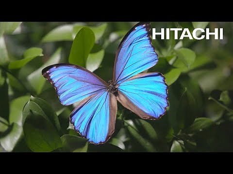 The World’s Highest Resolution Electron Microscope - Hitachi