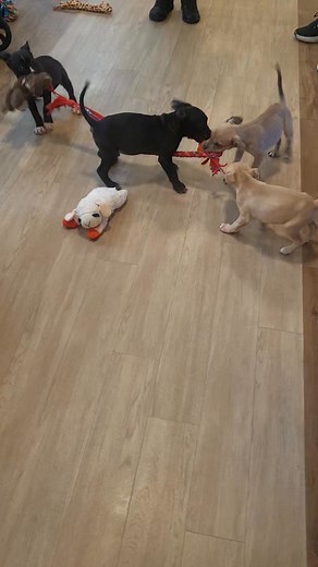 20 reactions · 3 comments | November 18 2025 had visitors today at work | Wendy Richard | Facebook