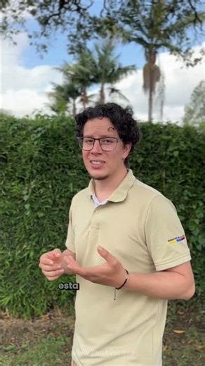 La rana más venenosa del planeta habita en los bosques del Pacífico colombiano. 🐸💛