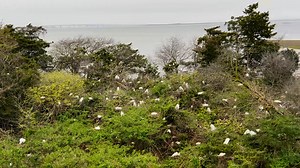 A “Birds Eye“ view from the 9th Street bridge | OCNJ Daily