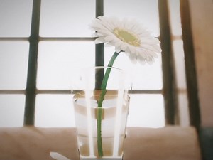 Chainsaw Man: Edits and Highlights of Denji and Makima