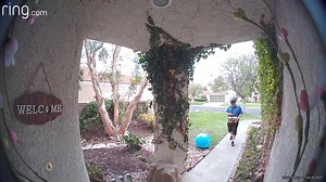 18K views · 94 reactions | If you ever wondered why your packages are late, this delivery guy might signle handely be responsible for ALL of them.... Funny Videos Want to be featured? Message us videos you filmed to be featured on the page! | Funny Videos | Facebook