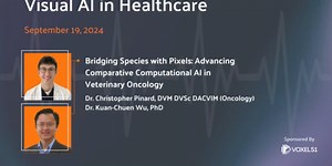 Visual AI in Healthcare: Advancing Comparative Computational AI in Veterinary Oncology