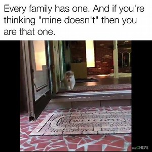 176K views · 1.6K reactions | you know it's true. | theCHIVE | Facebook