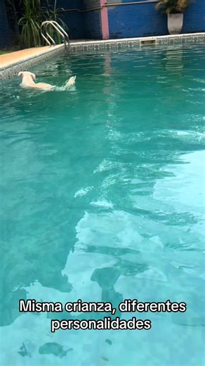 Videos de Nerea Kleñup 🐞 (@nerea_519) con “sonido original - karlos marss🫶🏻”