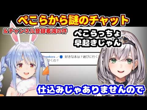 ぺこらから急に謎のチャットが来て仕込みを疑われる＋チャンネル登録者数が減ってる件について【ホロライブ切り抜き/白銀ノエル/兎田ぺこら】