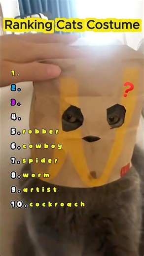 Ranking Cats with their Costume 🐱🐈😹