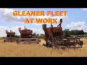 Allis Chalmers Gleaner combines at work.