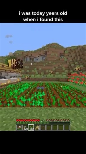 Minecraft bee strategy 🐝