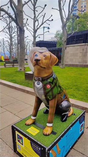 Small Paws, Big Impact: The Story of Guide Dogs