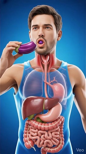 Effects of Eating Eggplant on Your Body