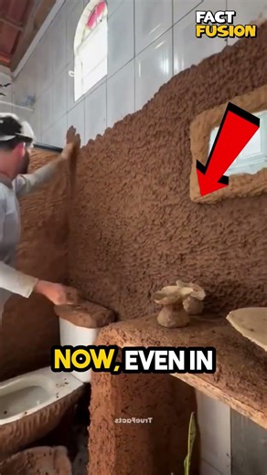 🏠🐄 Natural Cooling: How Cow Dung Keeps This Brazilian Home Cool 🌞❄️