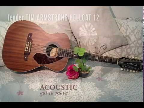 Slide on Fender 12-String Tim Armstrong Hellcat