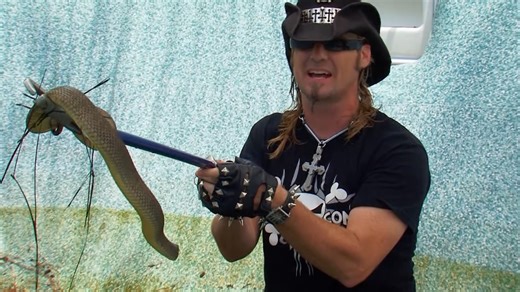 1.6M views · 36K reactions | "I might be crazy, but I'm NOT STUPID!" | Billy the Exterminator on A&E | Facebook