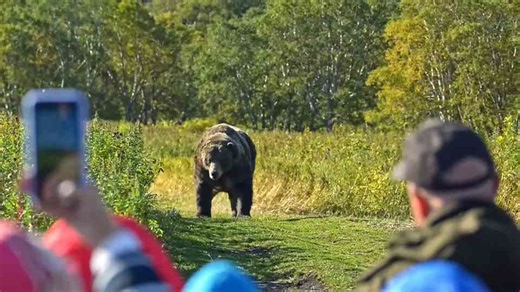 The three fragile subspecies in danger of vanishing within our lifetime