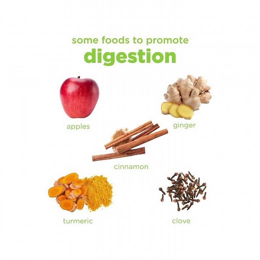 Some Foods to Promote Digestion