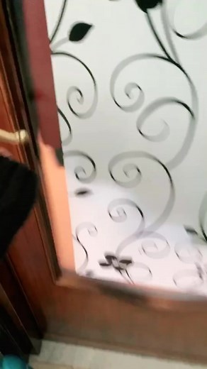 Video di Bunny the dog (@bunnythedog) con Superman - The BBC Concert Orchestra