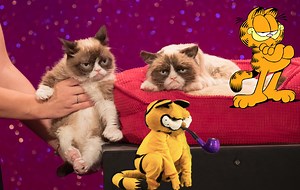 Garfield's Lament: Grumpy Cat Was a Meme Born Dead