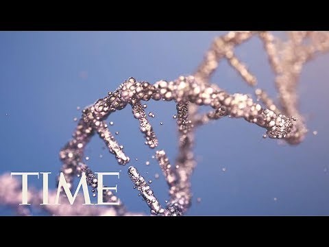 There's No Such Thing As A 'Gay Gene,' A New Study Argues | TIME