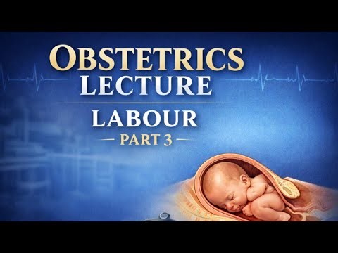 Mechanism of Labour Explained | Cardinal Movements | Obstetrics Lecture