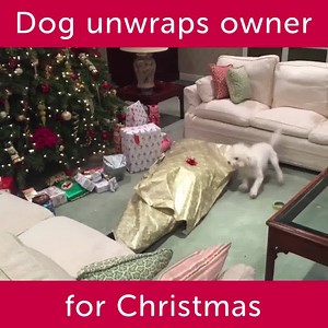 345K views · 3.3K reactions |   | Amazon Store | Facebook