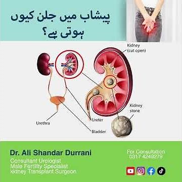 Why Does Burning Happen During Urination? | Dr. Ali Shandar Durrani