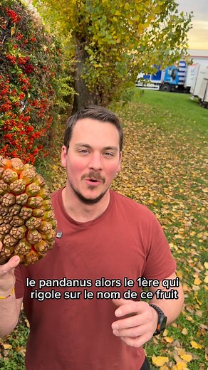 🌿💚 Le Pandanus est enfin là ! Un fruit spectaculaire, venu des régions tropicales, avec ses segments colorés et son parfum incroyable 😍 Un fruit traditionnel, rare et fascinant, à découvrir chez Croissy Fruits 🌴✨ #CroissyFruits #Pandanus #fruitsexotique #fruitsrares #tropicalvibes #saveurunique #exotique #fruitlover | Anthony De Croissy Fruits