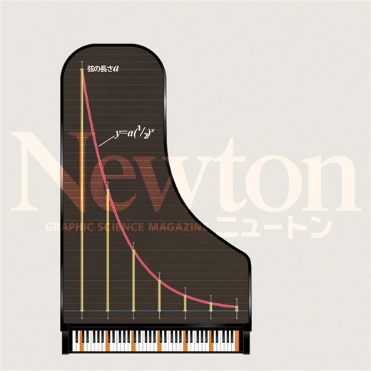 《Newton別冊『音楽と科学』予約受付中！》 グランドピアノの形の中に見えるものとは何でしょうか。実は、指数関数のグラフです。くわしくは11月８日発売のニュートン別冊『音楽と科学』で。ほかにも楽器と物理、心が動く脳のしくみなど、音楽と科学の関係をさまざまな角度から解き明かします！ ●Amazonでのご予約はこちら https://amzn.to/46JwiI0 | 科学雑誌Newton（ニュートン）