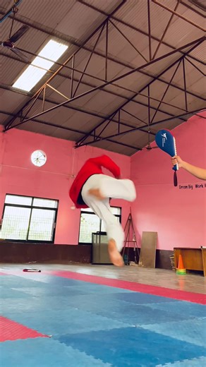 Step By Step Taekwondo Training Guide