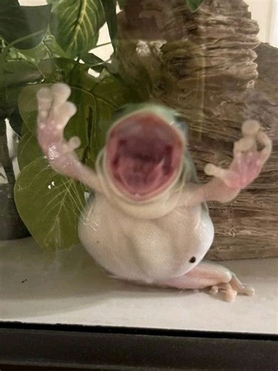 Exploring Sevika's Character in Arcane