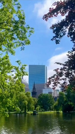 Amantes de esportes, arquitetura e cultura se encontram no mesmo lugar: em Boston, Massachusetts! 🩵 Para um itinerário completo, você precisa: 🏛️ Explorar a arquitetura e as obras de arte do famoso Museum of Fine Arts. 📖 Visitar a Boston Public Library, biblioteca que conta com mais de seis milhões de livros. ⛪ Apreciar a obra-prima de H.H. Richardson, a Trinity Church (Igreja da Trindade), que sempre aparece entre as referências arquitetônicas mais importantes dos EUA. ⚾ Assistir ao Boston R