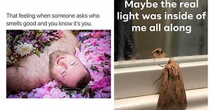 15 Memes To Get You Through Your Week