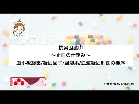 抗凝固薬①｜止血の仕組み〜血小板凝集/凝固因子/線溶系/血液凝固制御の機序