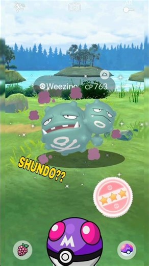 Just✨Shiny✨Weezing✨In Wild✨