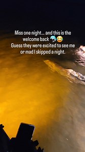 I missed one night because of a cold front which almost never happens, and this was the welcome back. When you’re usually out here every night, they definitely notice when you’re gone. Not sure whether they were excited to see me or letting me know I can't have a night off. #Bowfishing #bad weather #dolphins | Florida Bowfishing Adventures