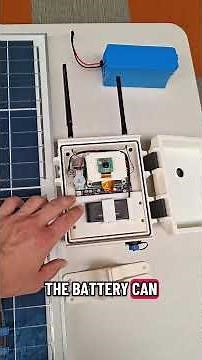 Using Edge Compute Object Detection for Wildlife Detection and Identification!
