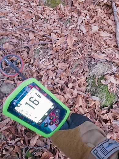 Scopri tesori nascosti con il Metal Detector Manticore