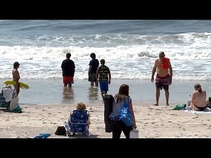 Shark Alley? More sightings off Long Island beaches after 6 bites