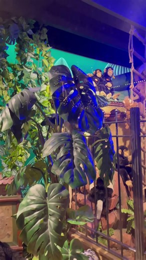 Automatic Moving Doll