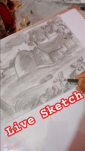 Live Sketch Shorts 🖌️ | Satisfying Drawing Process | Real-Time Art for Relaxation #LiveSketch